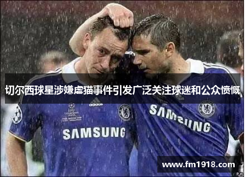 切尔西球星涉嫌虐猫事件引发广泛关注球迷和公众愤慨